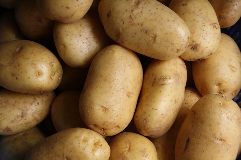 Fresh potatoes on white background