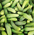 Fresh zucchini on white background