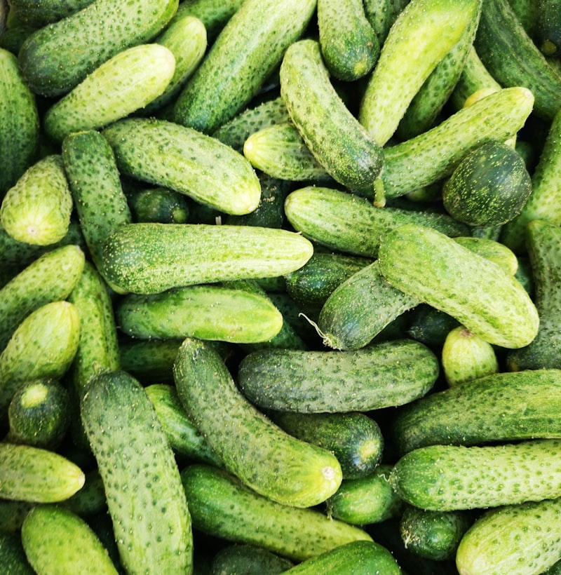 Fresh zucchini on white background