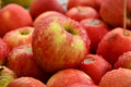 Fresh red apples on white background