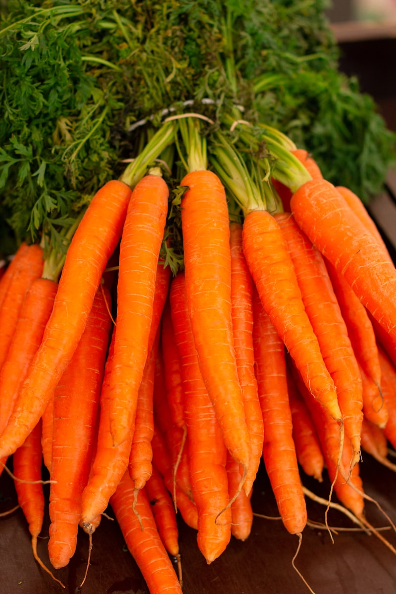 Fresh carrots on white background