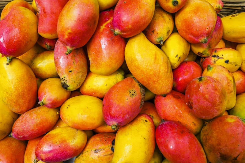 Fresh apricots on white background